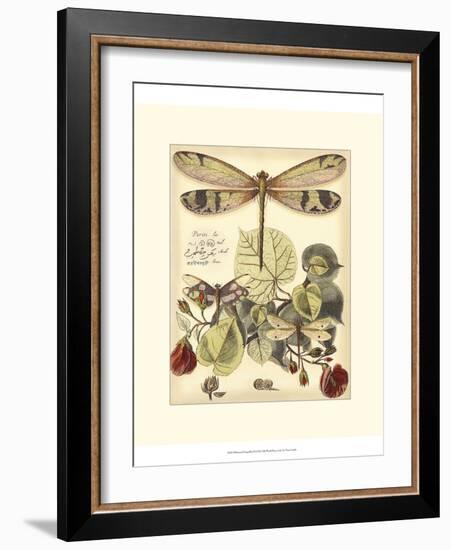 Whimsical Dragonflies II-Vision Studio-Framed Art Print