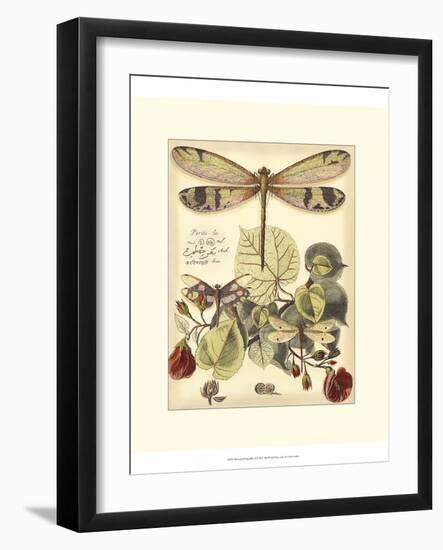 Whimsical Dragonflies II-Vision Studio-Framed Art Print