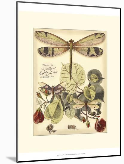 Whimsical Dragonflies II-Vision Studio-Mounted Art Print