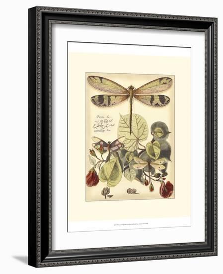 Whimsical Dragonflies II-Vision Studio-Framed Art Print