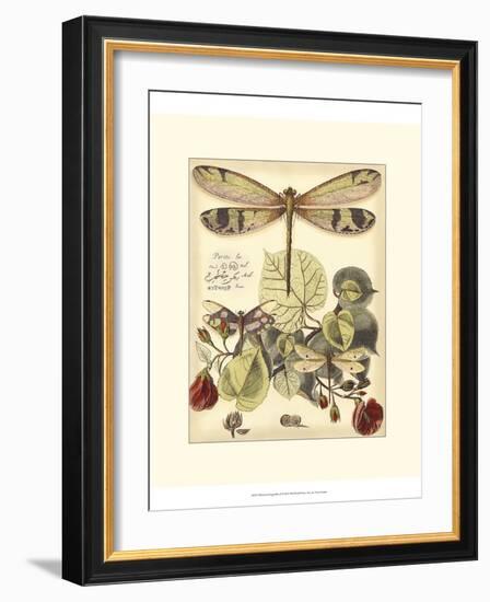 Whimsical Dragonflies II-Vision Studio-Framed Art Print