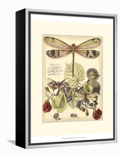 Whimsical Dragonflies II-Vision Studio-Framed Stretched Canvas