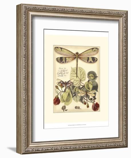 Whimsical Dragonflies II-Vision Studio-Framed Premium Giclee Print