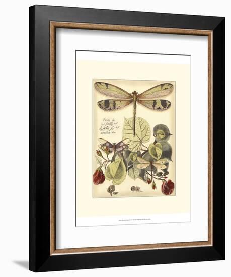 Whimsical Dragonflies II-Vision Studio-Framed Premium Giclee Print