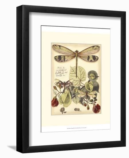 Whimsical Dragonflies II-Vision Studio-Framed Premium Giclee Print