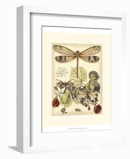 Whimsical Dragonflies II-Vision Studio-Framed Premium Giclee Print