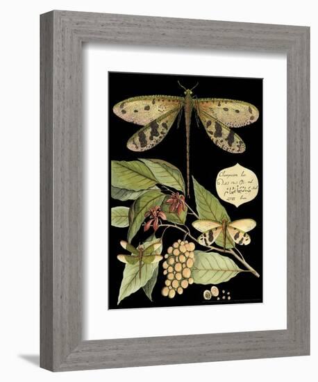 Whimsical Dragonfly on Black I-Vision Studio-Framed Art Print
