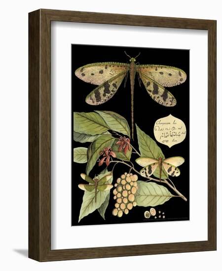 Whimsical Dragonfly on Black I-Vision Studio-Framed Art Print