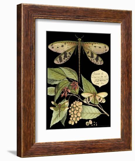 Whimsical Dragonfly on Black I-Vision Studio-Framed Art Print