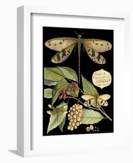 Whimsical Dragonfly on Black I-Vision Studio-Framed Art Print