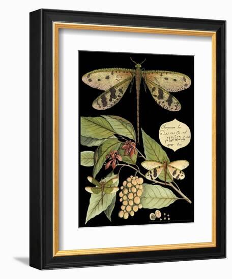 Whimsical Dragonfly on Black I-Vision Studio-Framed Art Print