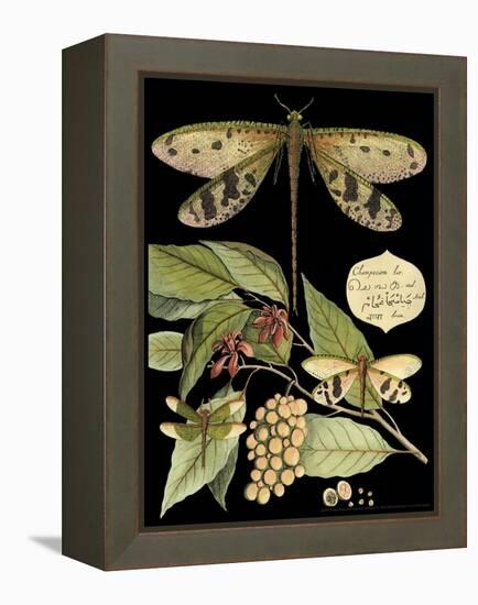 Whimsical Dragonfly on Black I-Vision Studio-Framed Stretched Canvas