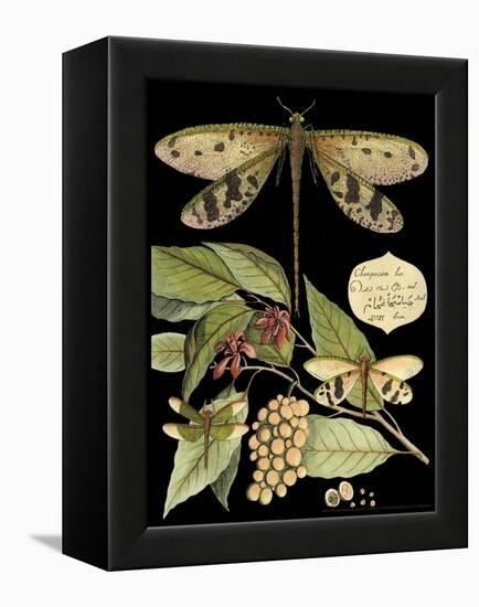 Whimsical Dragonfly on Black I-Vision Studio-Framed Stretched Canvas