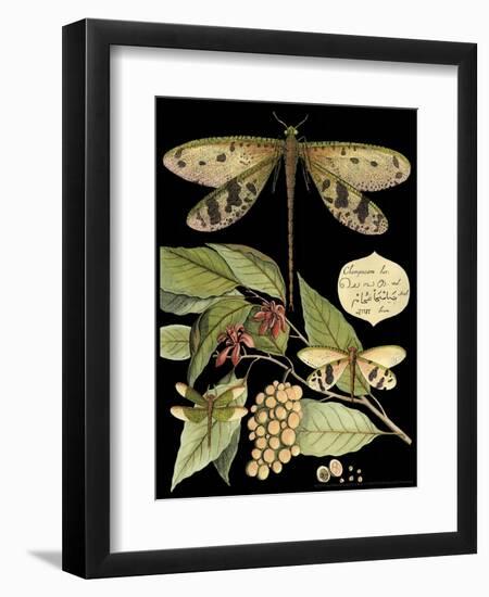 Whimsical Dragonfly on Black I-Vision Studio-Framed Premium Giclee Print