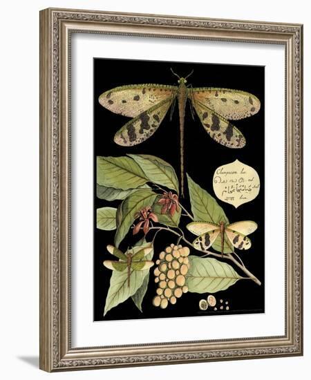 Whimsical Dragonfly on Black I-Vision Studio-Framed Art Print