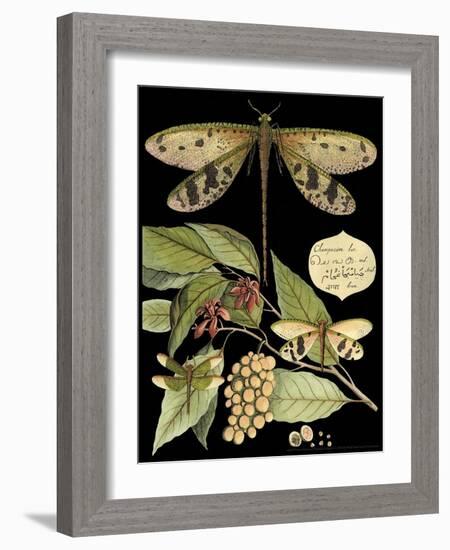 Whimsical Dragonfly on Black I-Vision Studio-Framed Art Print