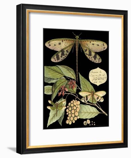 Whimsical Dragonfly on Black I-Vision Studio-Framed Art Print