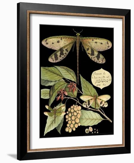 Whimsical Dragonfly on Black I-Vision Studio-Framed Art Print