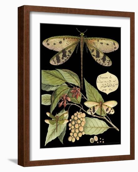 Whimsical Dragonfly on Black I-Vision Studio-Framed Art Print