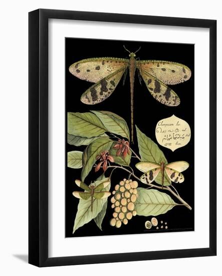 Whimsical Dragonfly on Black I-Vision Studio-Framed Art Print