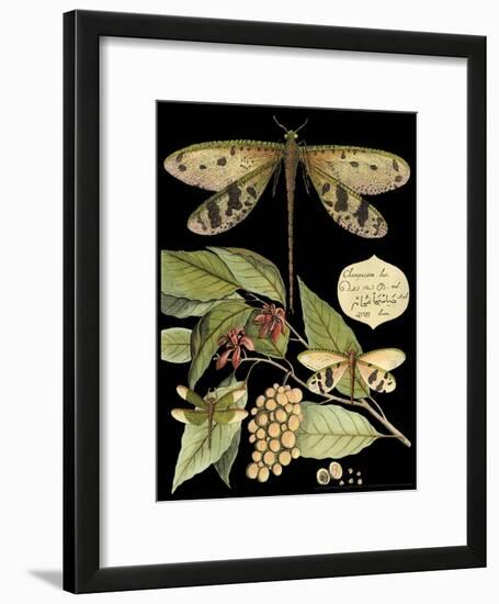 Whimsical Dragonfly on Black I-Vision Studio-Framed Art Print