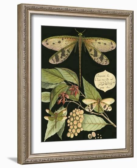 Whimsical Dragonfly on Black I-null-Framed Art Print