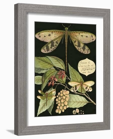 Whimsical Dragonfly on Black I-null-Framed Art Print