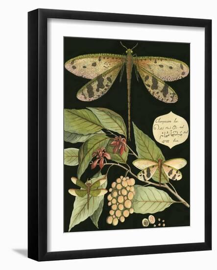 Whimsical Dragonfly on Black I-null-Framed Art Print