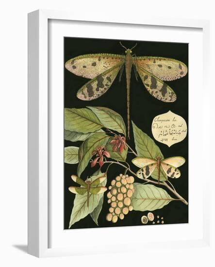 Whimsical Dragonfly on Black I-null-Framed Art Print