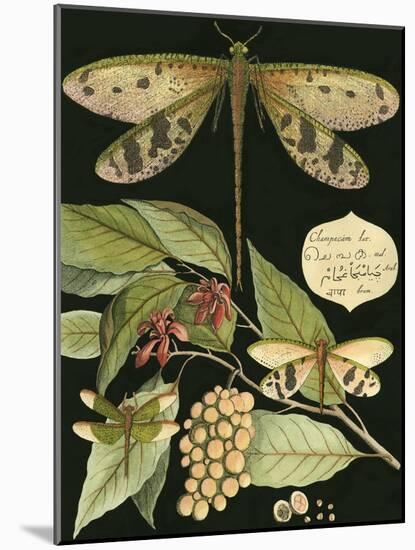 Whimsical Dragonfly on Black I-null-Mounted Art Print