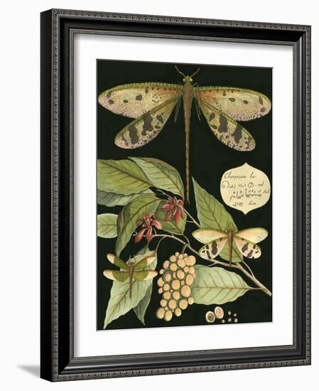 Whimsical Dragonfly on Black I-null-Framed Art Print