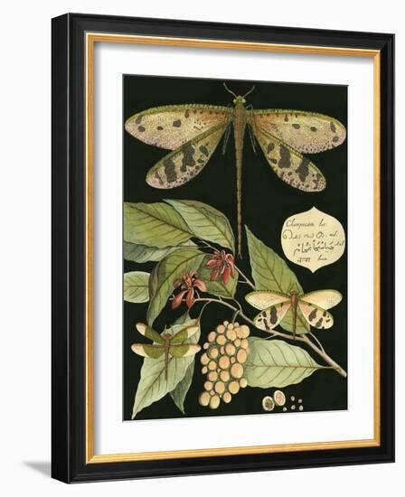 Whimsical Dragonfly on Black I-null-Framed Art Print