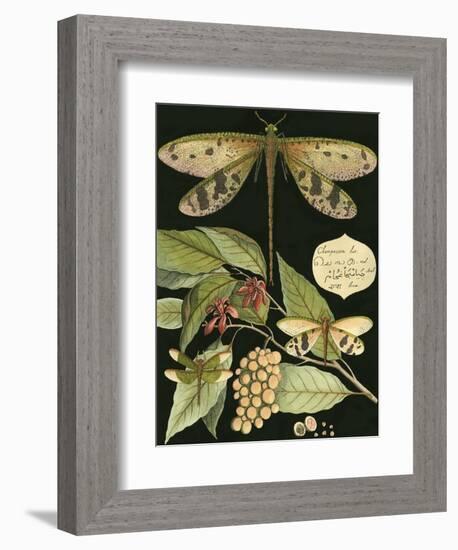 Whimsical Dragonfly on Black I-null-Framed Premium Giclee Print