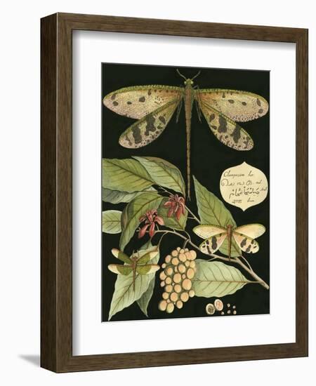 Whimsical Dragonfly on Black I-null-Framed Premium Giclee Print