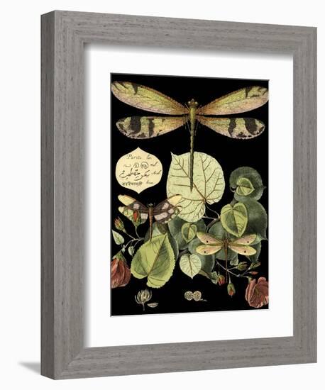 Whimsical Dragonfly on Black II (IE-Vision Studio-Framed Art Print