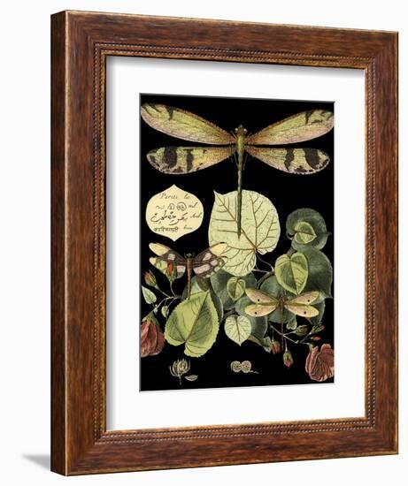 Whimsical Dragonfly on Black II (IE-Vision Studio-Framed Art Print