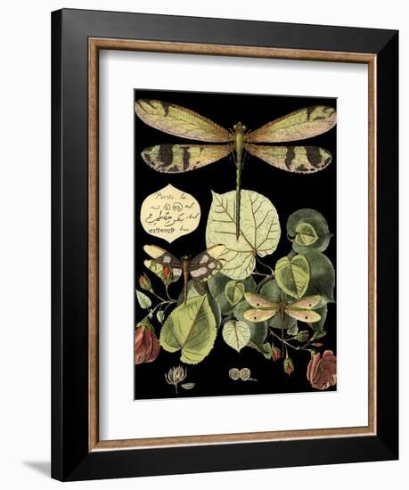 Whimsical Dragonfly on Black II (IE-Vision Studio-Framed Art Print