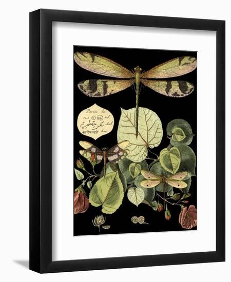 Whimsical Dragonfly on Black II (IE-Vision Studio-Framed Art Print