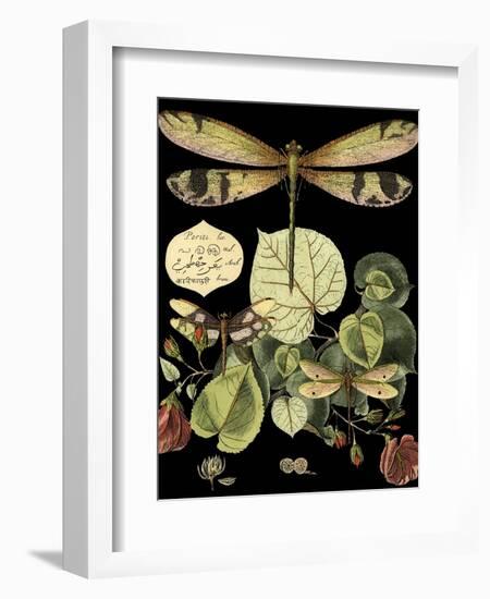 Whimsical Dragonfly on Black II (IE-Vision Studio-Framed Art Print