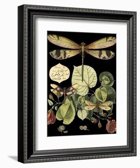 Whimsical Dragonfly on Black II (IE-Vision Studio-Framed Art Print