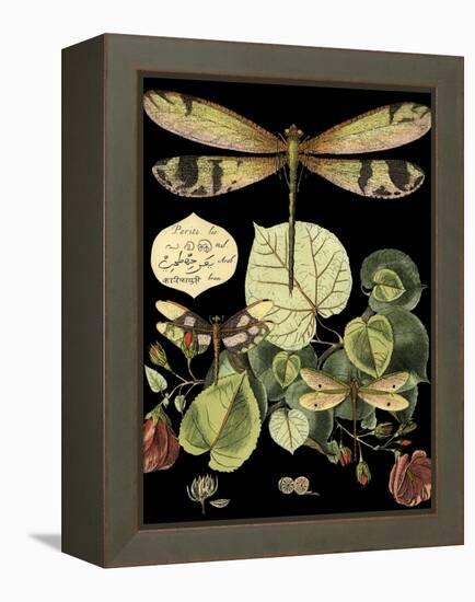 Whimsical Dragonfly on Black II (IE-Vision Studio-Framed Stretched Canvas