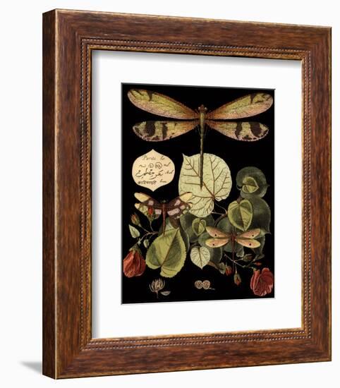 Whimsical Dragonfly on Black II-null-Framed Art Print