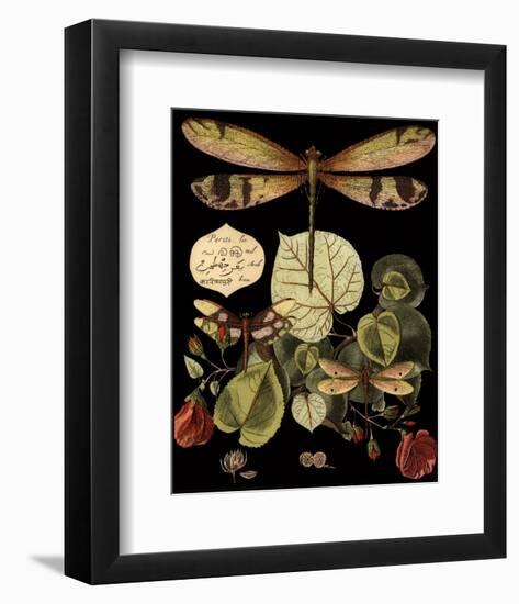 Whimsical Dragonfly on Black II-null-Framed Art Print