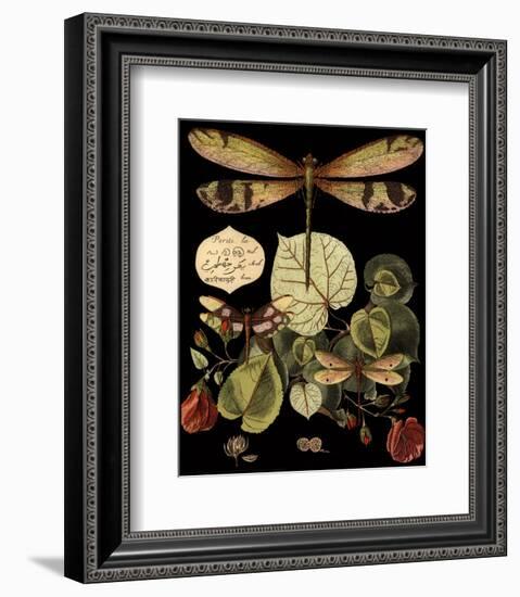 Whimsical Dragonfly on Black II-null-Framed Art Print