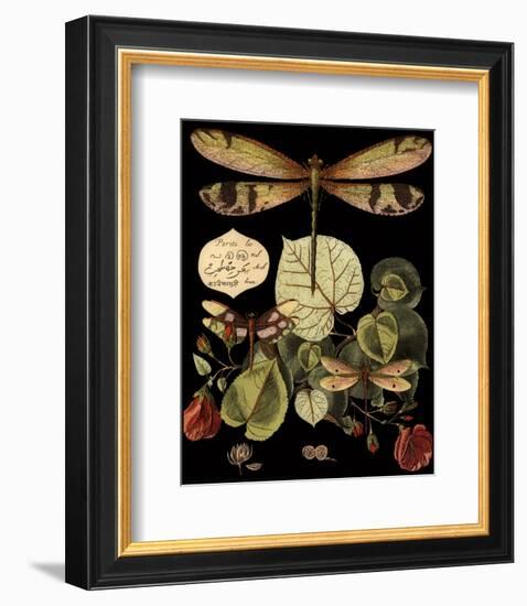 Whimsical Dragonfly on Black II-null-Framed Art Print