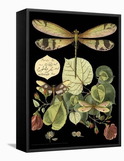 Whimsical Dragonfly on Black II-Vision Studio-Framed Stretched Canvas