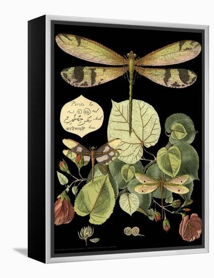 Whimsical Dragonfly on Black II-Vision Studio-Framed Stretched Canvas
