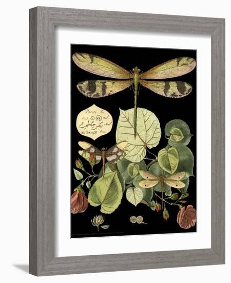 Whimsical Dragonfly on Black II-Vision Studio-Framed Premium Giclee Print