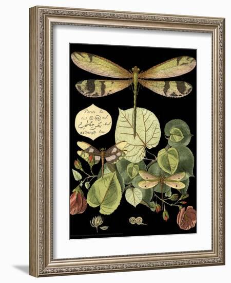 Whimsical Dragonfly on Black II-Vision Studio-Framed Art Print