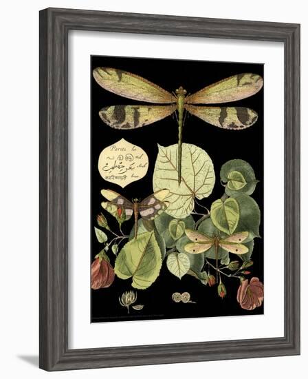 Whimsical Dragonfly on Black II-Vision Studio-Framed Art Print